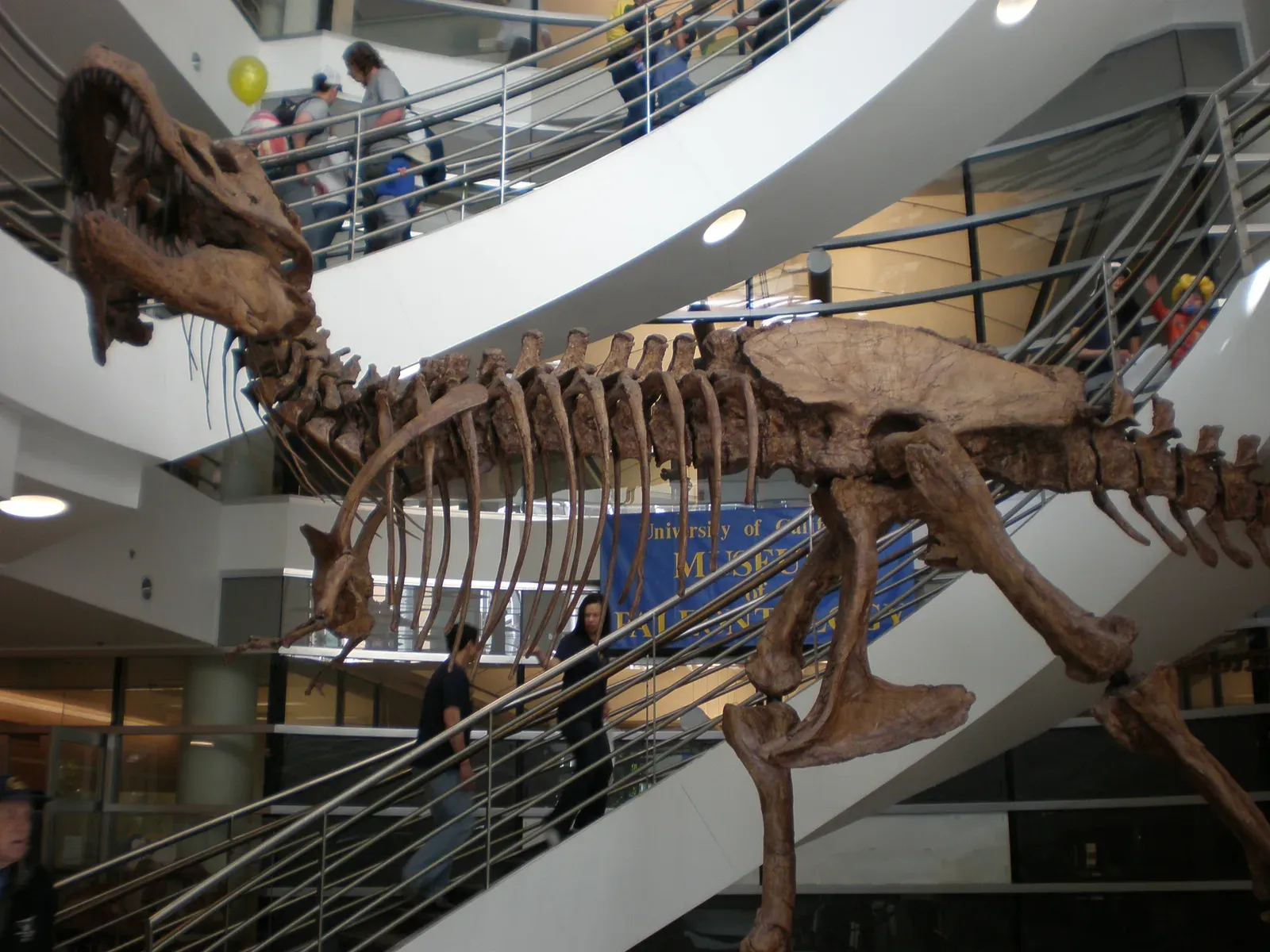 The Chance Discovery That Changed Dinosaur Science (By BrokenSphere, CC BY-SA 3.0)