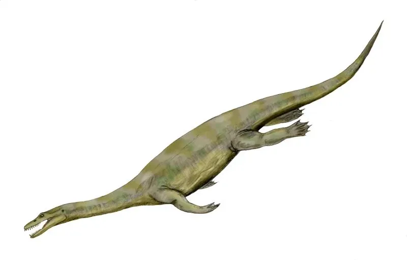 Nothosaurus: The Transitional Seal of the Triassic (Image Credits: Wikimedia)