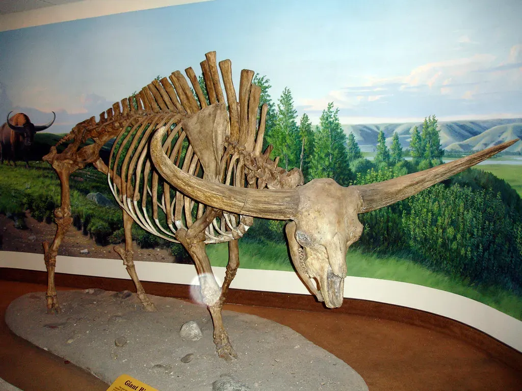 What These Giants Teach You About Extinction and Survival (daryl_mitchell, Flickr, CC BY-SA 2.0)
