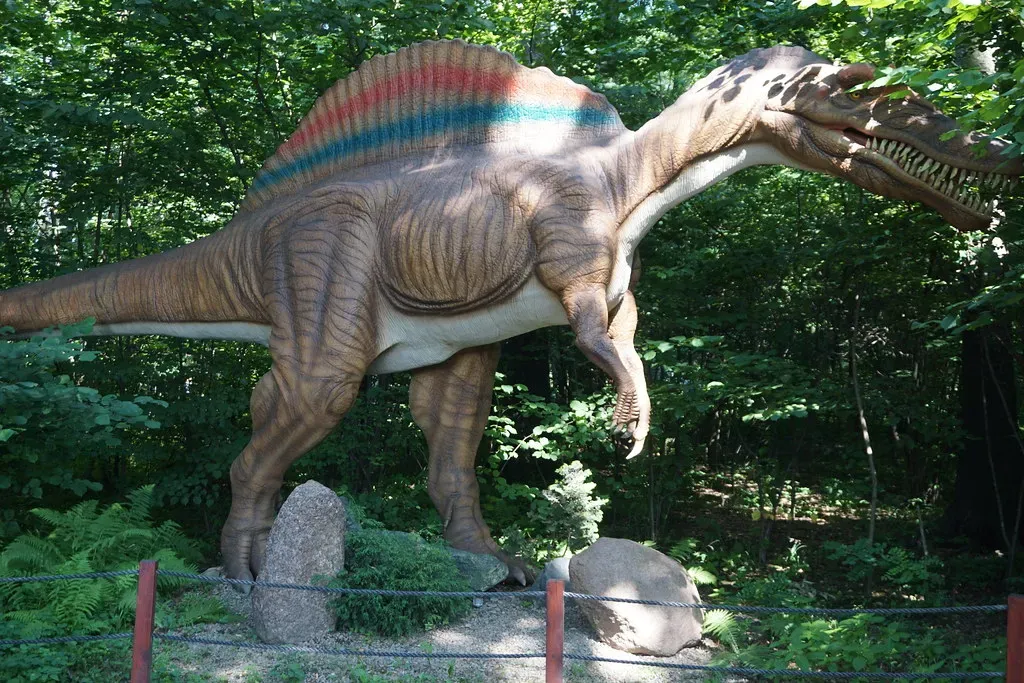 Myth 2: T. rex Was the Biggest Predator That Ever Lived (Andrew Milligan sumo, Flickr, CC BY 2.0)