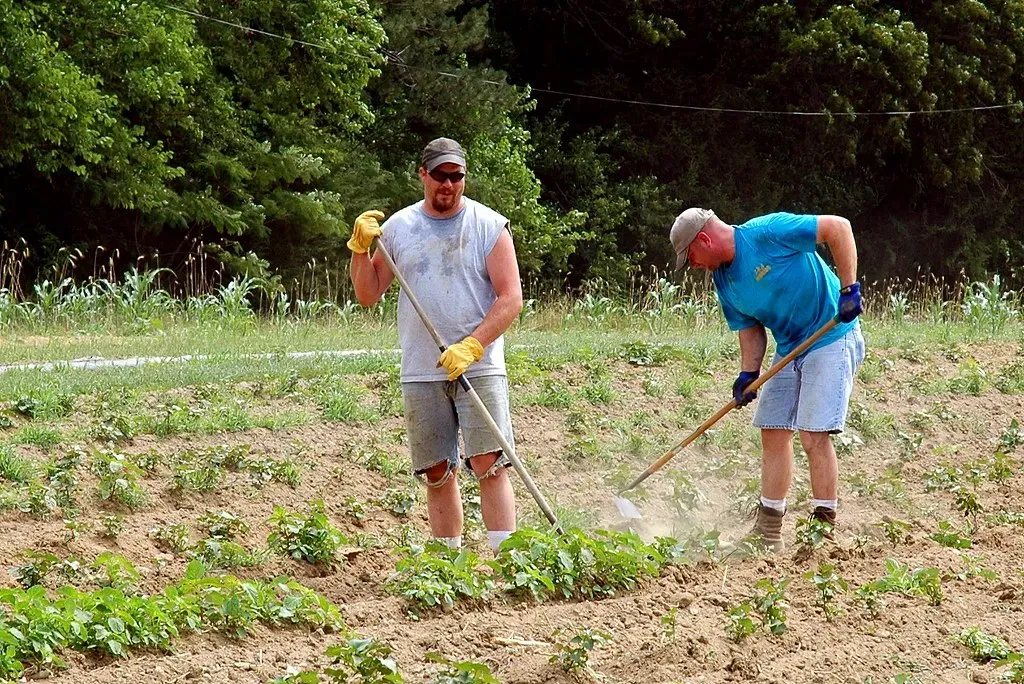 Conclusion: The Dirt Chooses Its People (Image Credits: Flickr)