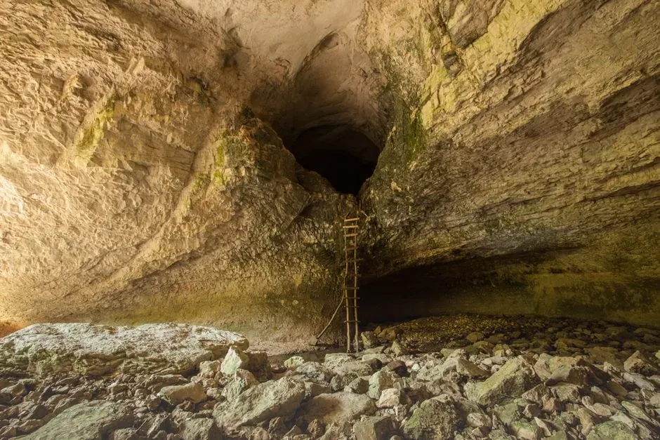 Conclusion: The Real Neanderthal Scandal Was Our Arrogance (Image Credits: Pexels)