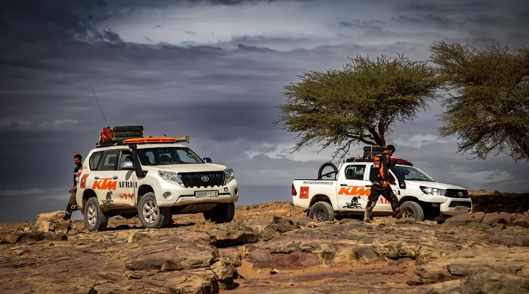 You Thrive in Wild, Remote, and Uncomfortable Places (Image Credits: Unsplash)