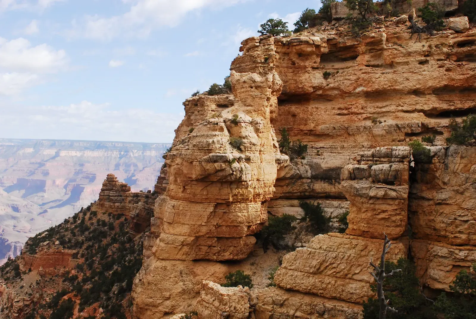 The Kaibab Limestone: The Ground You Stand On (By Grand Canyon NPS (Kristen M. Caldon), CC BY 2.0)