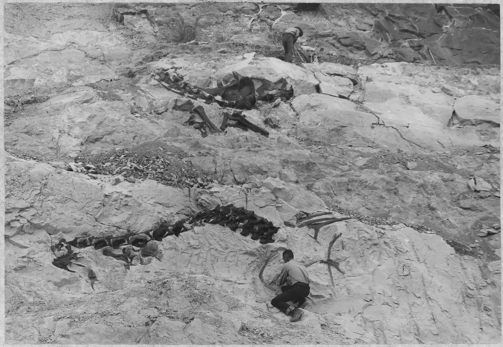 Fossilized “Family Scenes” That Freeze Social Life in Stone (U.S. National Archives and Records Administration, Public domain)