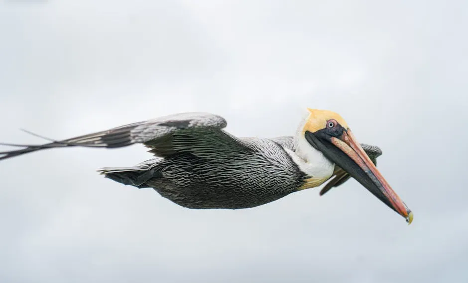 The Brain Had to Evolve Before the Wings Could Work (Image Credits: Pexels)