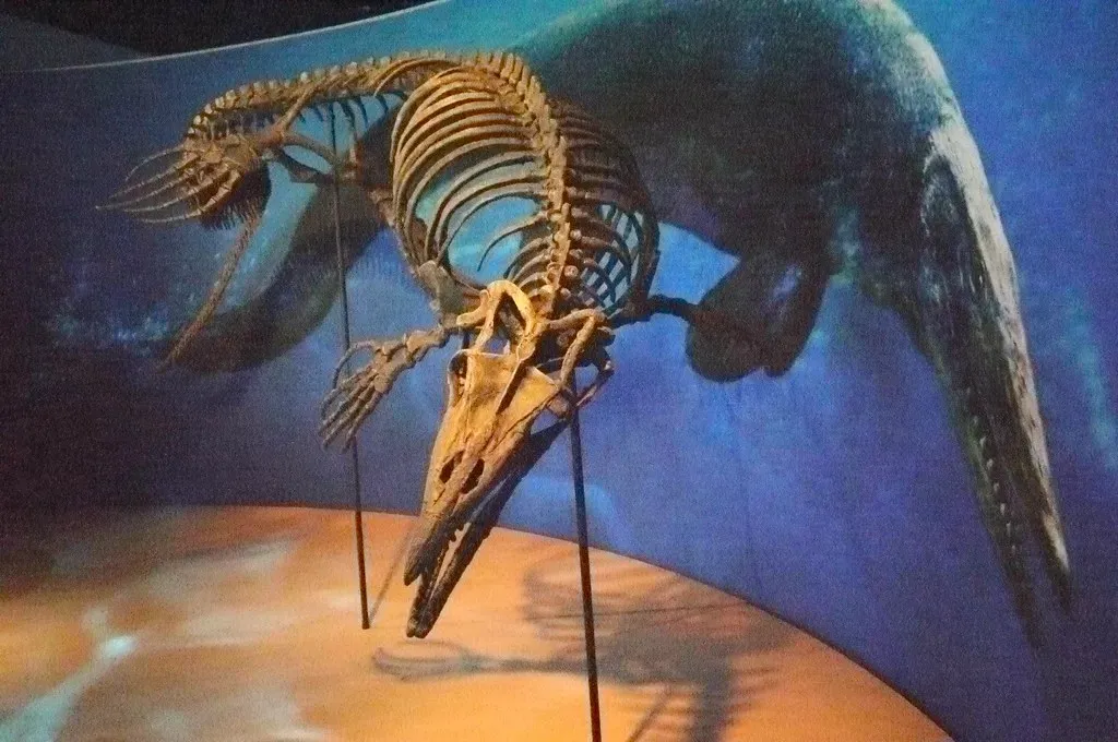 Mosasaurs: The Sea Monsters That Actually Existed (Image Credits: Flickr)