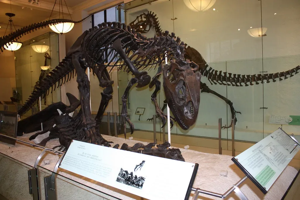 Predators, Dangers, and the Everyday Risks of Giant Life (Image Credits: Flickr)
