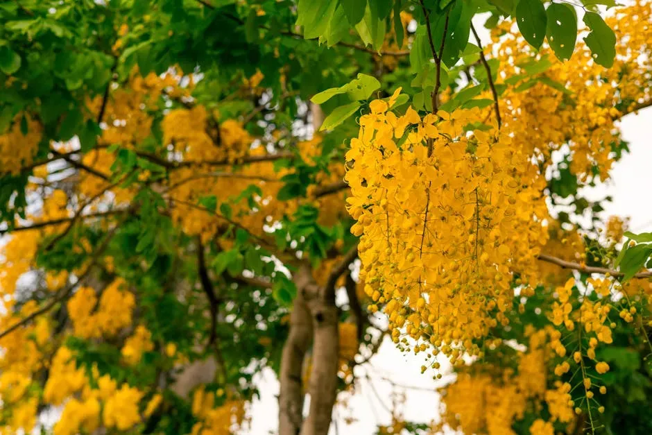 Sagittarius – Golden Rain Tree (Image Credits: Pexels)