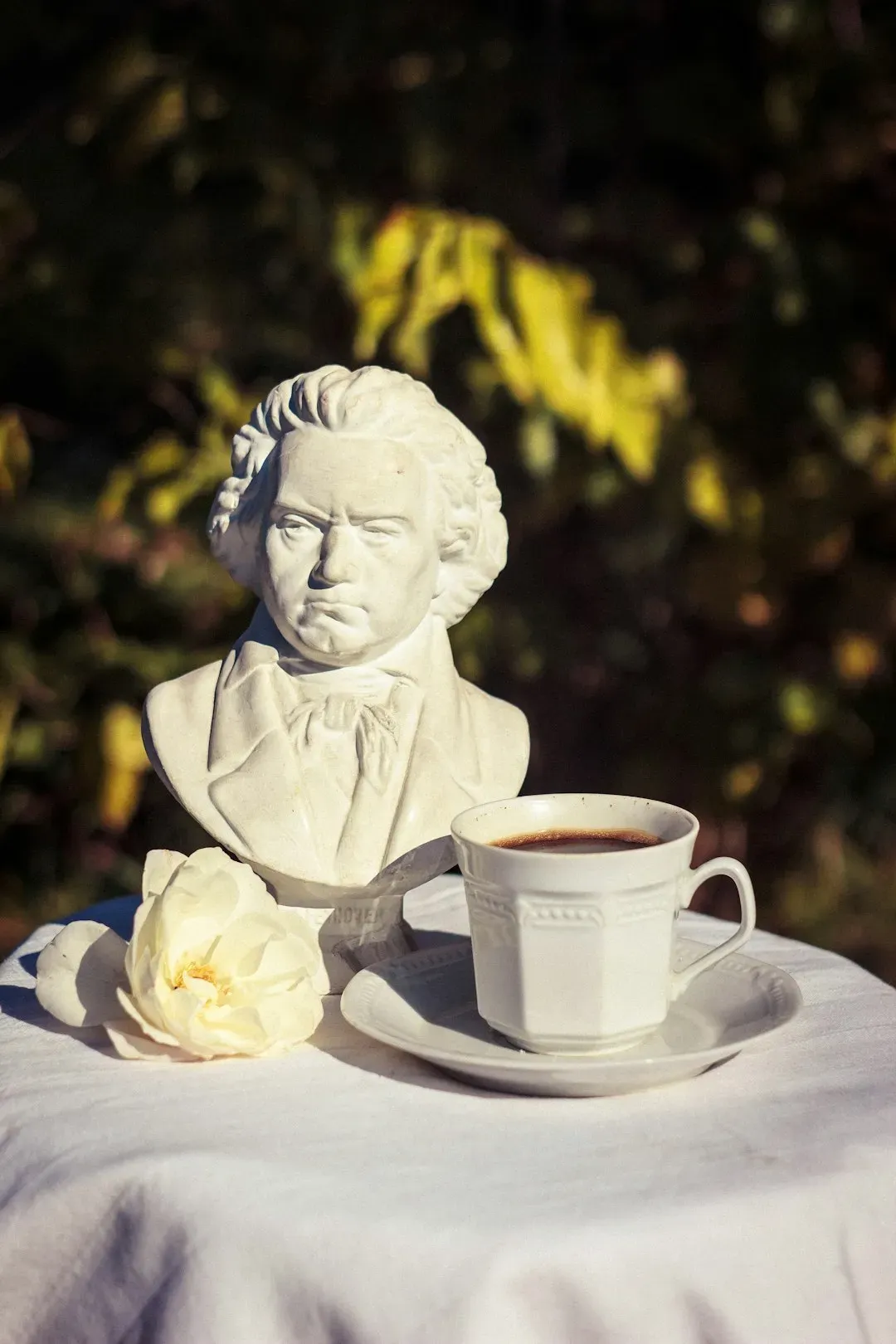 Ludwig van Beethoven's Coffee Bean Ritual (Image Credits: Unsplash)