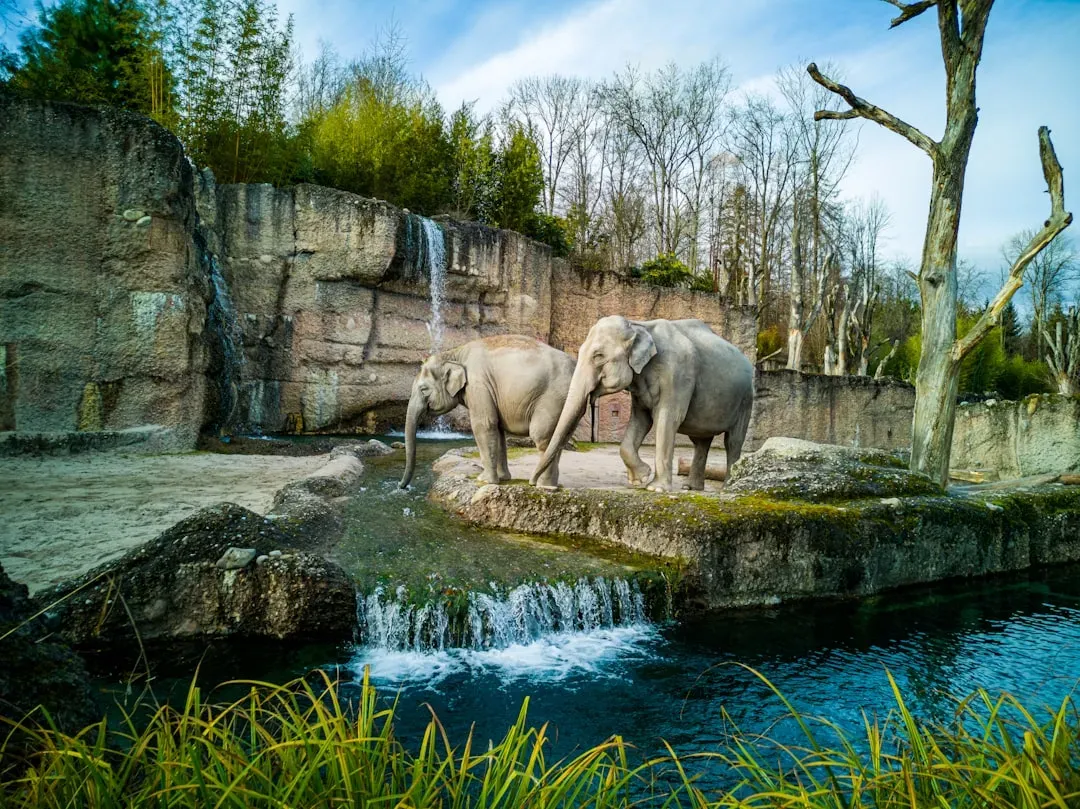 #11 - Zoos And Wildlife Parks Would Become Fortresses (Image Credits: Unsplash)