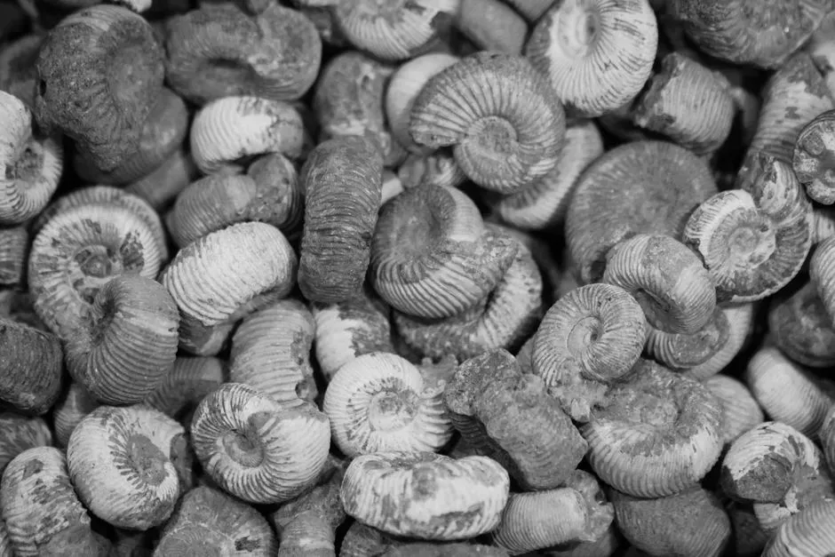 The Deep Time Mindset: Seeing Millions of Years at Once (Image Credits: Pexels)