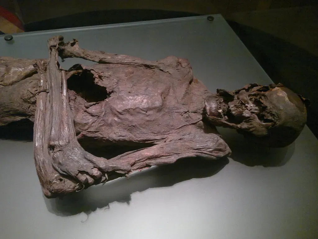 Bog Bodies and the Dark Side of Iron Age Religion (markhealey, Flickr, CC BY-SA 2.0)