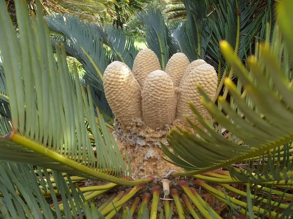 The Silent Chemical Warriors That Evolved Death (Image Credits: Flickr)