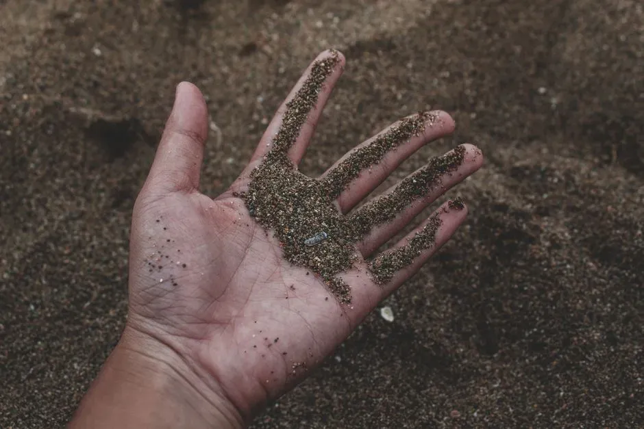 #14 Microplastics, Modern Pollutants, and the Footprint We Leave (Image Credits: Pexels)