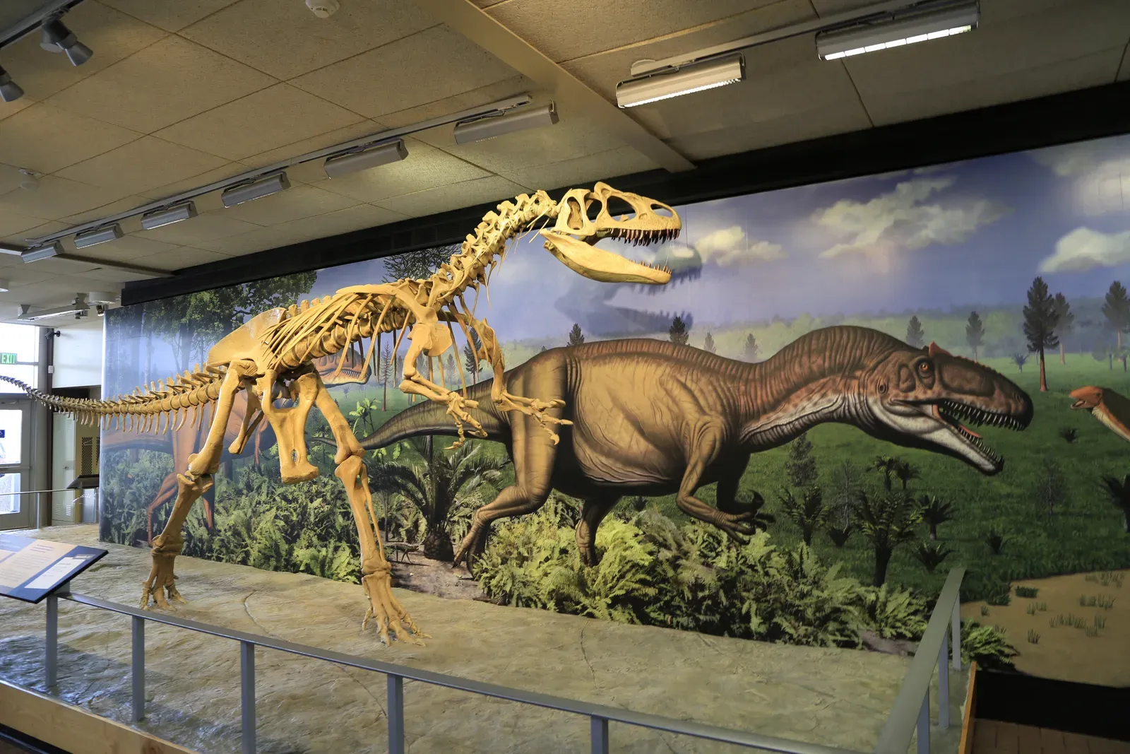 Utah’s Allosaurus and the Dinosaur National Monument Legacy (NPGallery, Public domain)