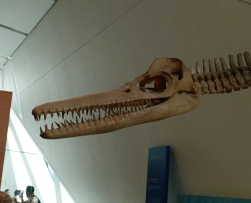 Rewriting Everything We Thought We Knew (Image Credits: Flickr)