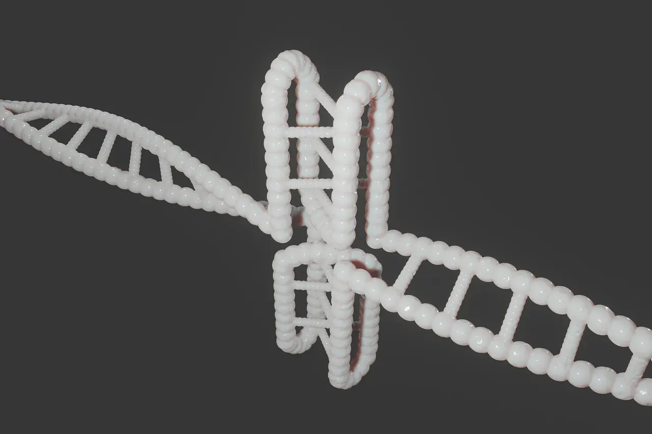 Tracing Social Inequality and Power Through DNA (Image Credits: Pixabay)