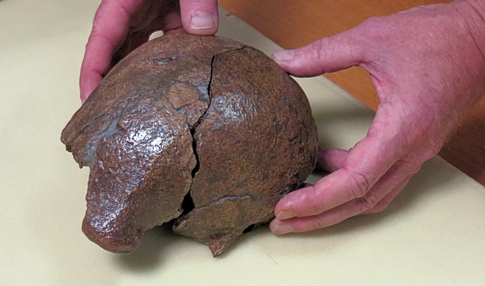 The Skeptics Weigh In (Image Credits: Wikimedia)