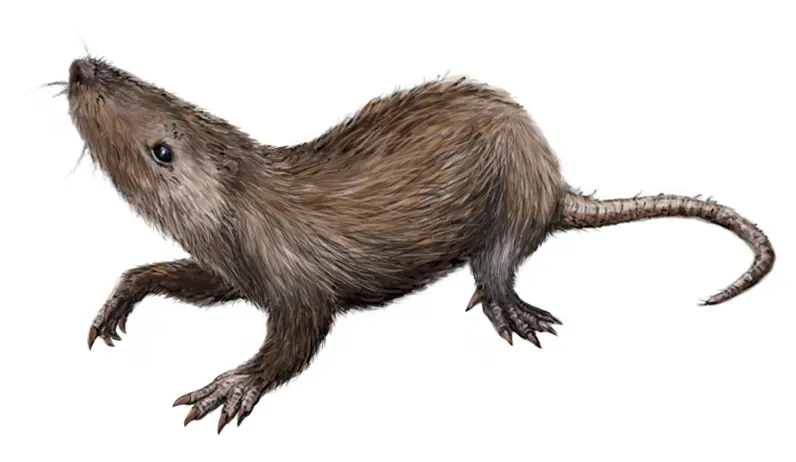 The Social Side of Ancient Mammal Life (Image Credits: Wikimedia)