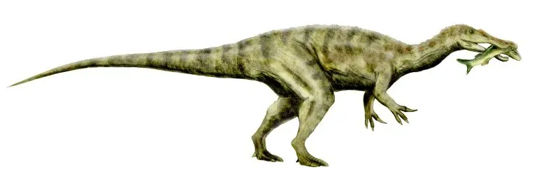 Why Baryonyx Shocked British Paleontology (By Nobu Tamura, CC BY 2.5)