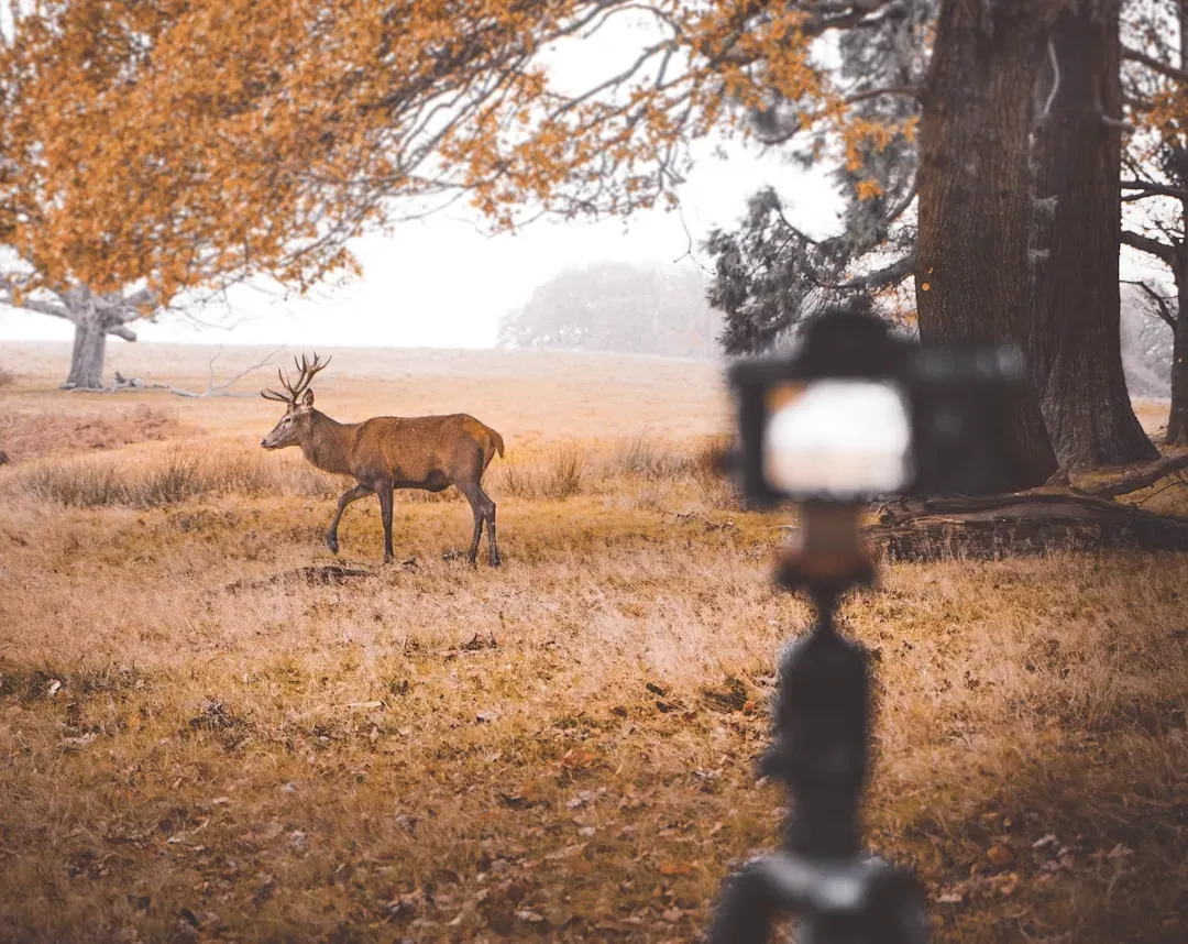 The Modern Feed Is Still a Savannah (Image Credits: Unsplash)