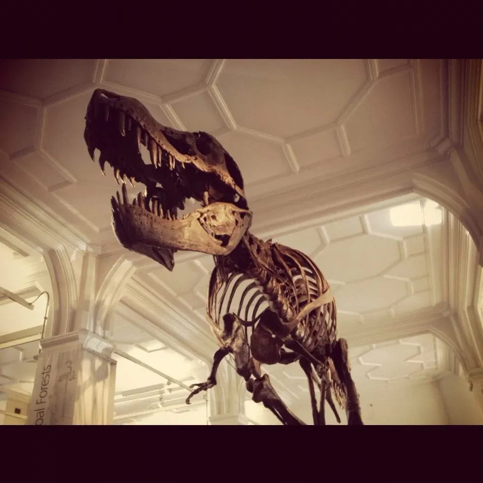 #8 - Mystery Holes in Her Jaw Sparked a Twenty-Year Scientific Argument (Day 26 - Tyrannosaurus Rex, CC0)