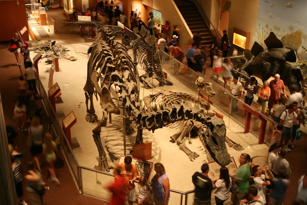 How Big Was Diplodocus Really? The Engineering of a Dinosaur Giant (Image Credits: Flickr)