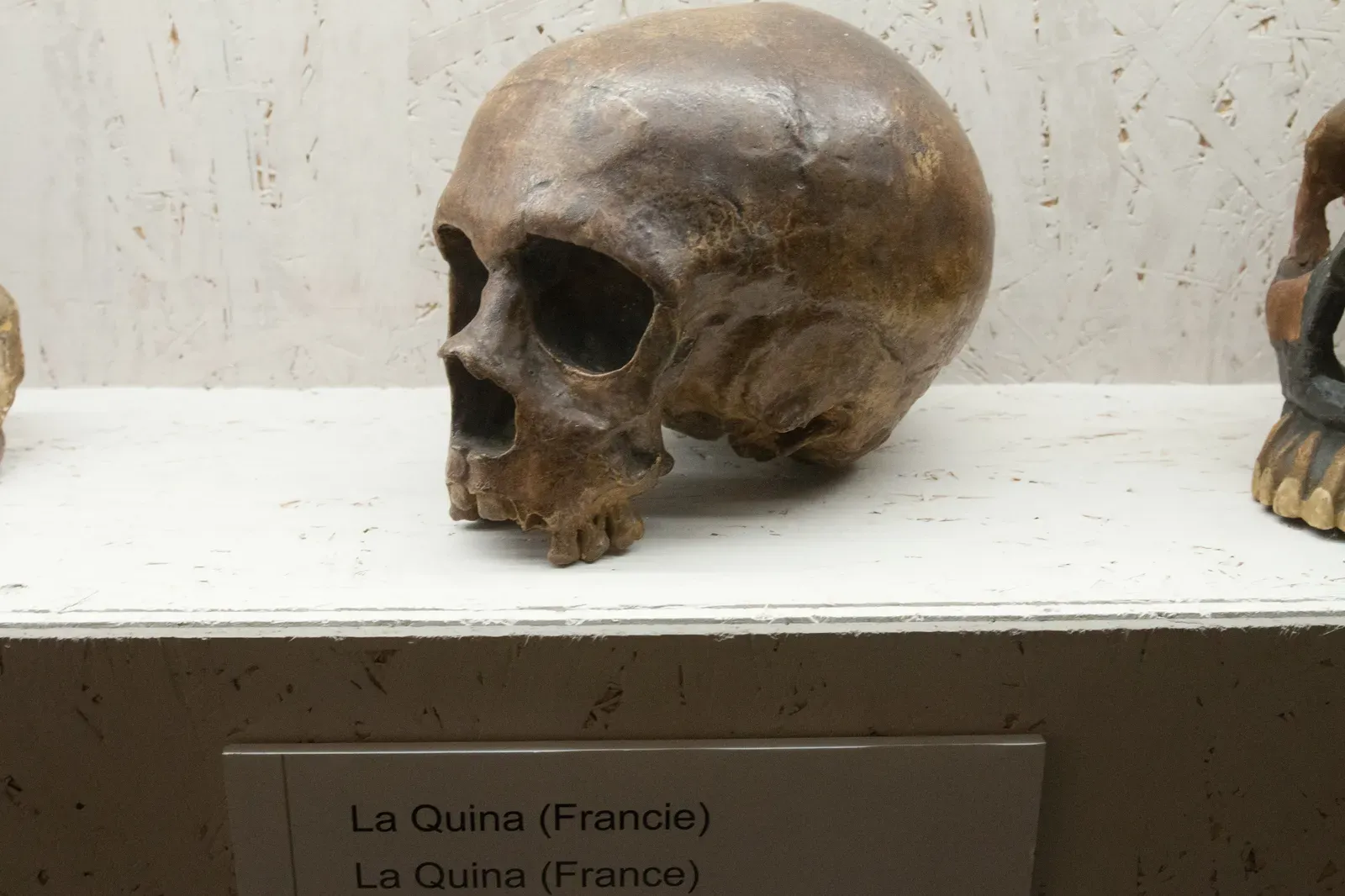 1. Neanderthals: From Caveman Stereotype To Long-Lost Relatives (By Zde, CC BY-SA 4.0)