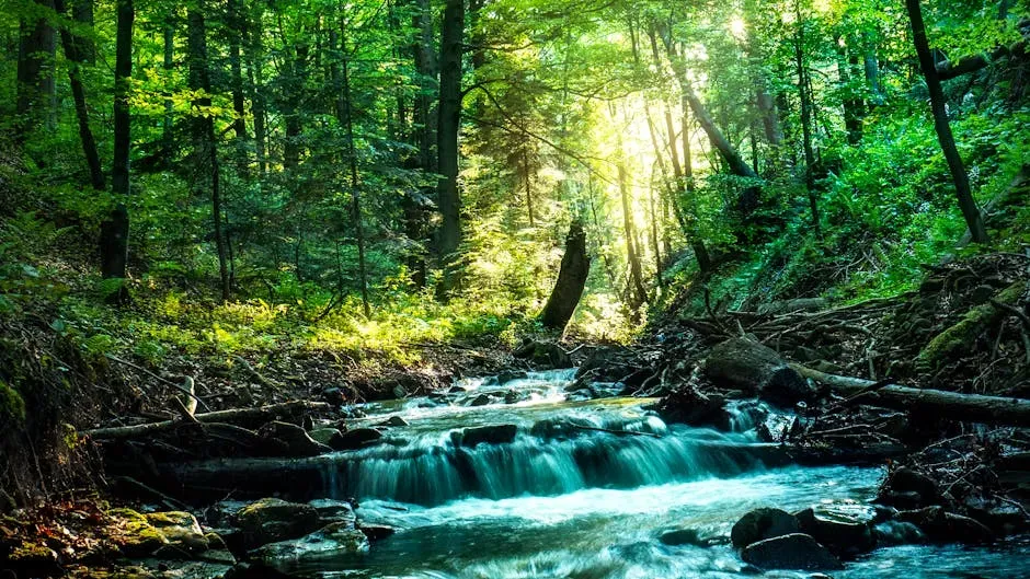 White Noise vs. Nature Sounds: Not All Noise Is Equal (Image Credits: Pexels)