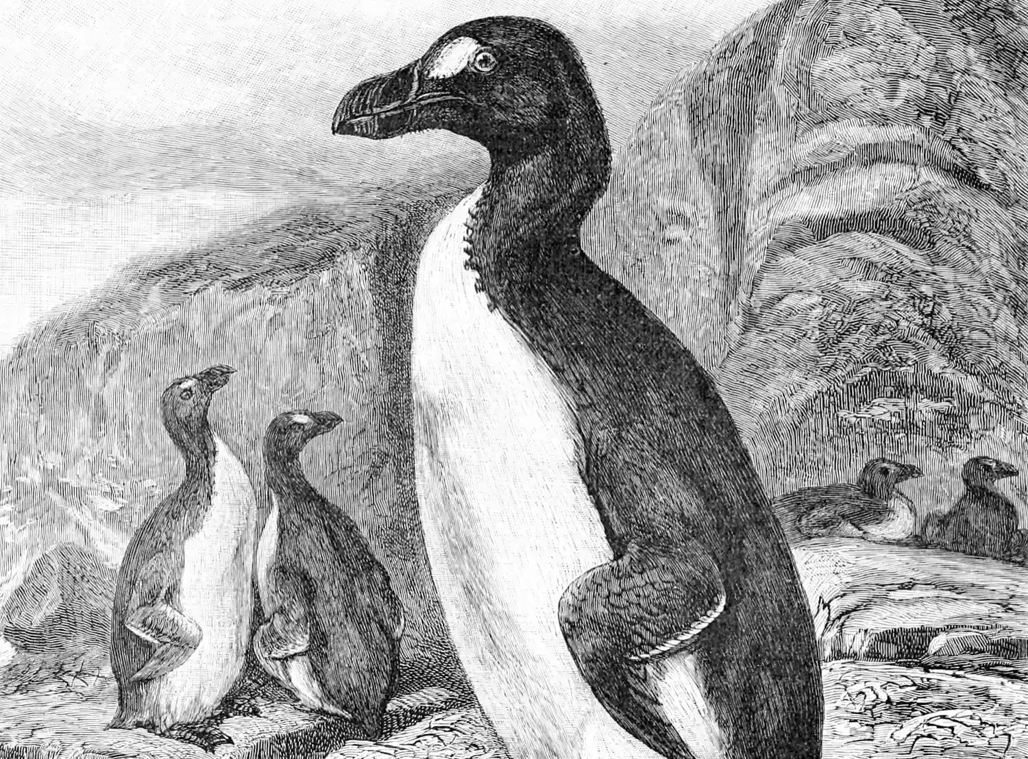 #10 - It Survived Being Burned Alive to Kill Its Own Kind (Image Credits: Wikimedia)