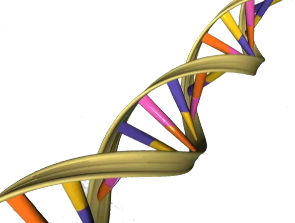 #1 - Every Living Thing on Earth Shares One Ancestor, and the DNA Proves It (This image was released by the National Human Genome Research Institute, an agency part of the National Institutes of Health, with the ID 85329 (image) (next)., Public domain)