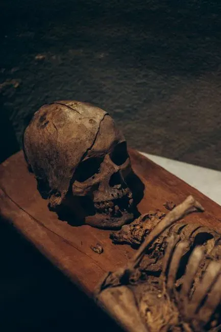 The Cave Girl Who Changed the Story of Slavery (Image Credits: Pexels)