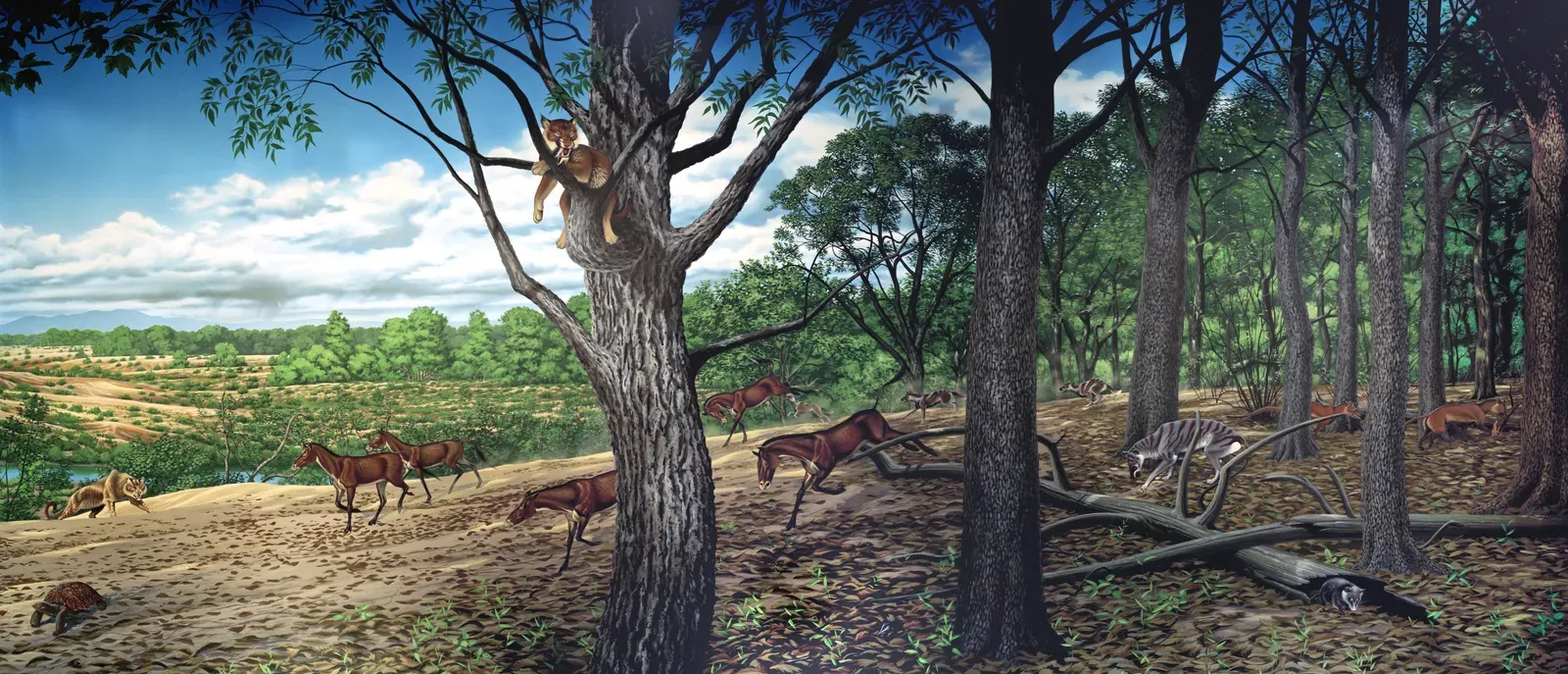 The Great Disappearance: Why Horses Went Extinct in Ancient America (Turtle Cove mural - Roger Witter Larger version from:[1], Public domain)