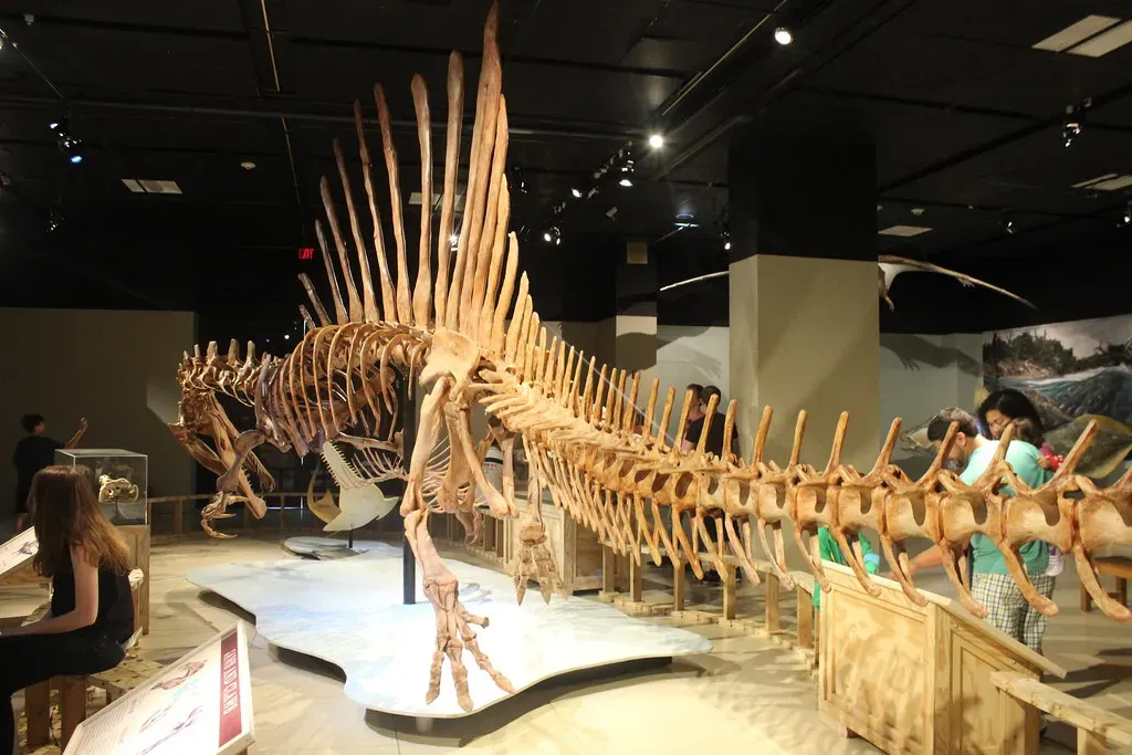 You Are Built for Depths That Others Fear to Enter (Ryan Somma, Flickr, CC BY 2.0)