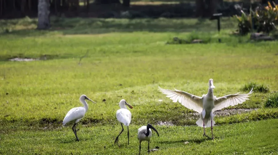 Birds Are Dinosaurs, Not Just Their Distant Cousins (Image Credits: Pexels)