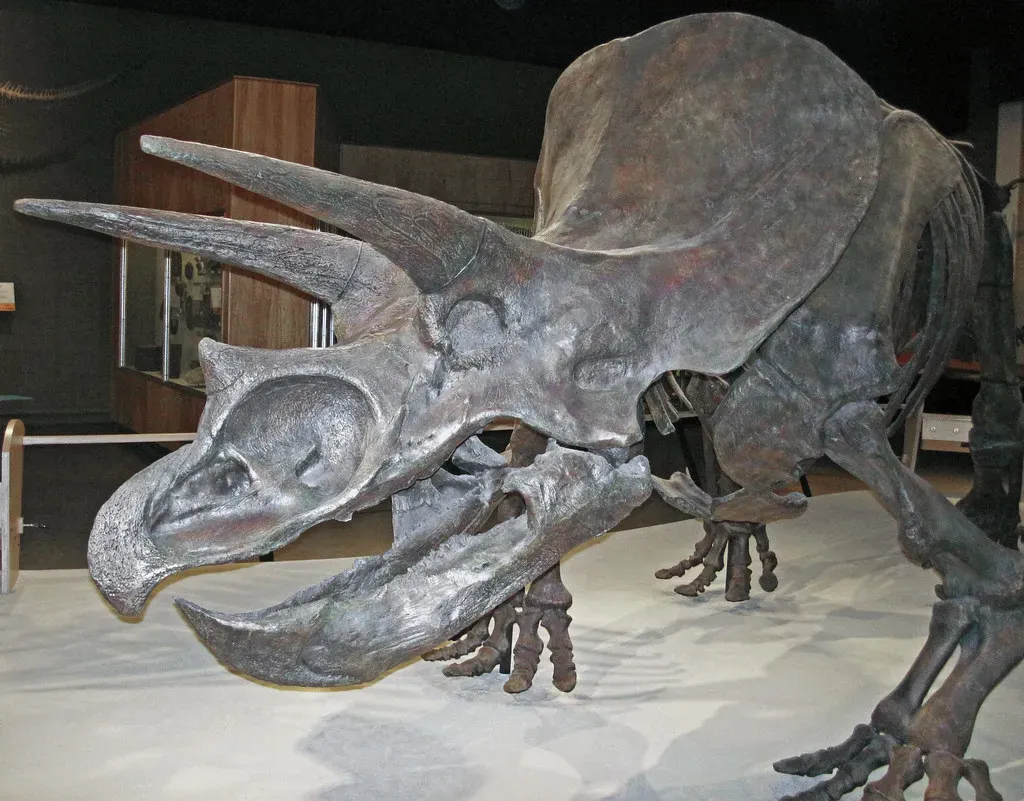 #11 - It Had Up to 800 Teeth, and Still Couldn't Chew (James St. John, Flickr, CC BY 2.0)