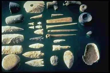 The Bottom Line (U.S. National Park Service, Mississippi River Mussels: Tools From Mussel Shells, Public domain)