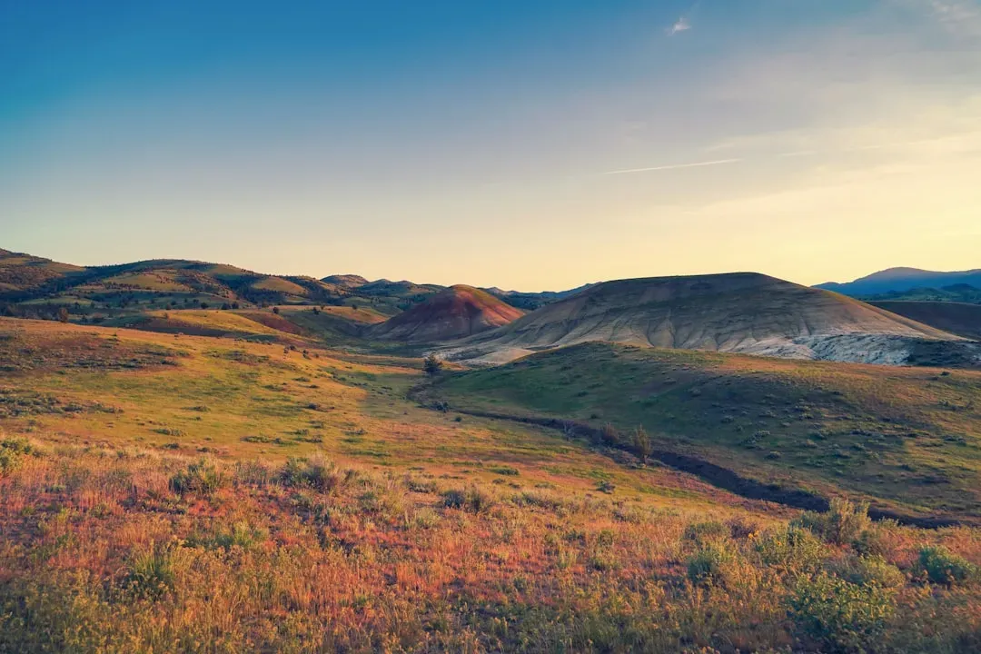 Landscapes before forests: bare rocks, strange rivers, and simple life (Image Credits: Unsplash)