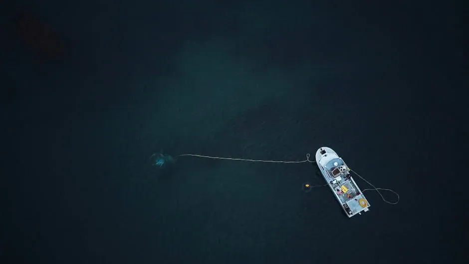 1. The Enigmatic “Massive Shark” On Deep-Ocean Sonar (Image Credits: Pexels)