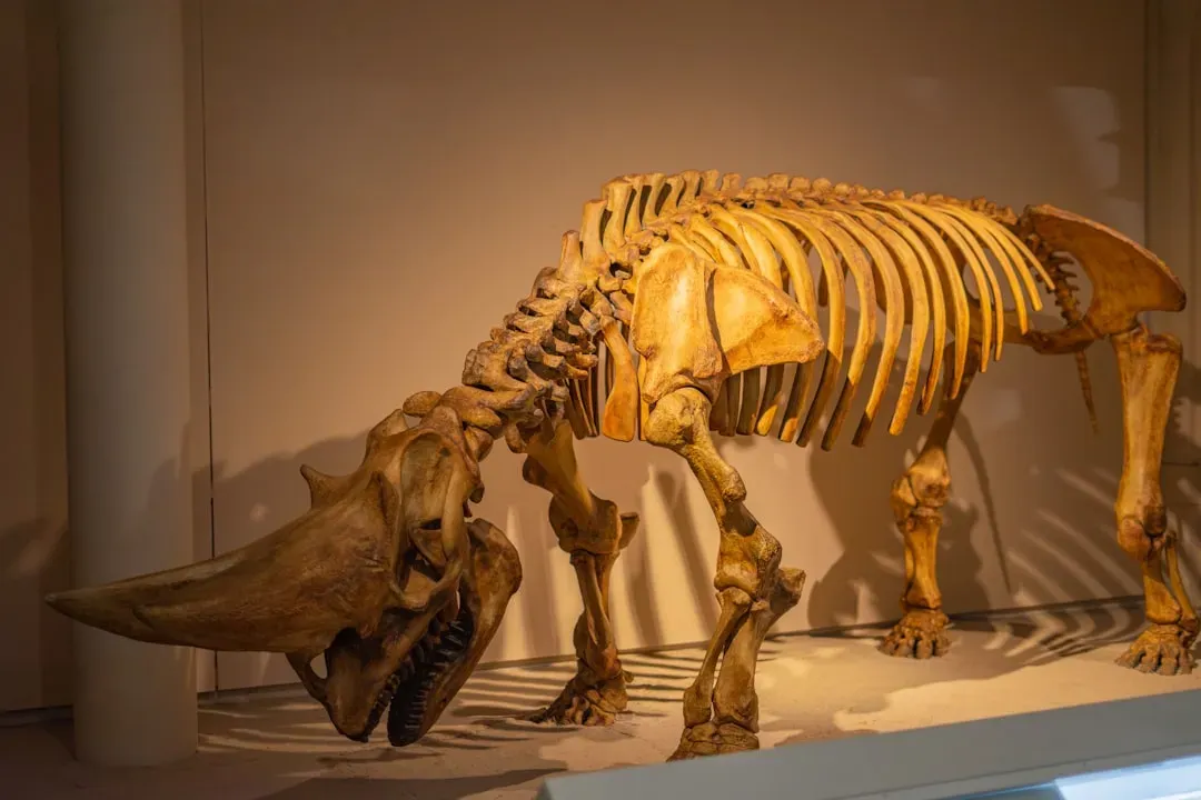 Up Close With an Ice Age Legend (Thanks to Frozen Time Capsules) (Image Credits: Unsplash)