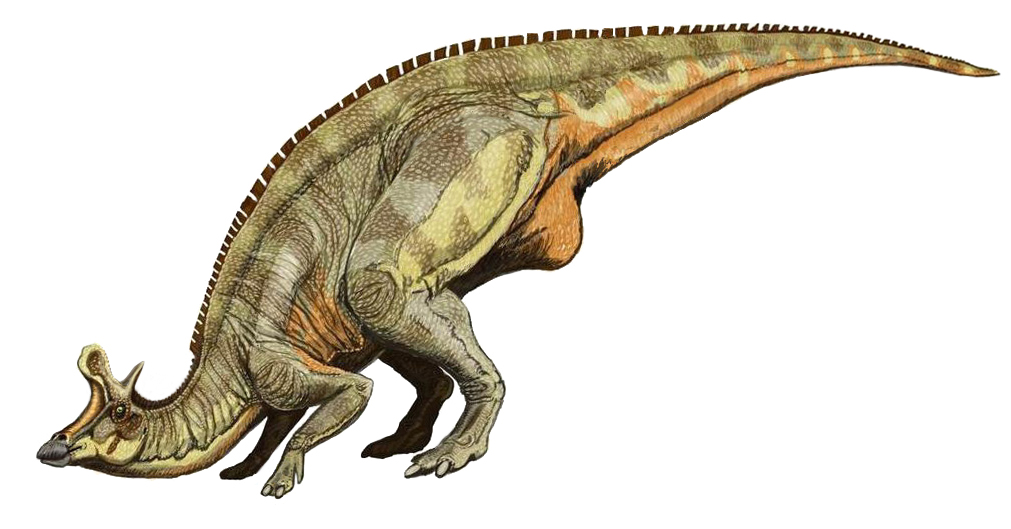 Lambeosaurus: The Hatchet-Headed Giant (Image Credits: Wikimedia)