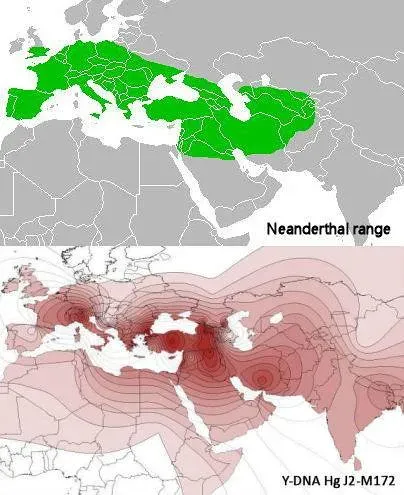Facing Giants in the North: Your Encounter with Neanderthals in Eurasia (Image Credits: Flickr)