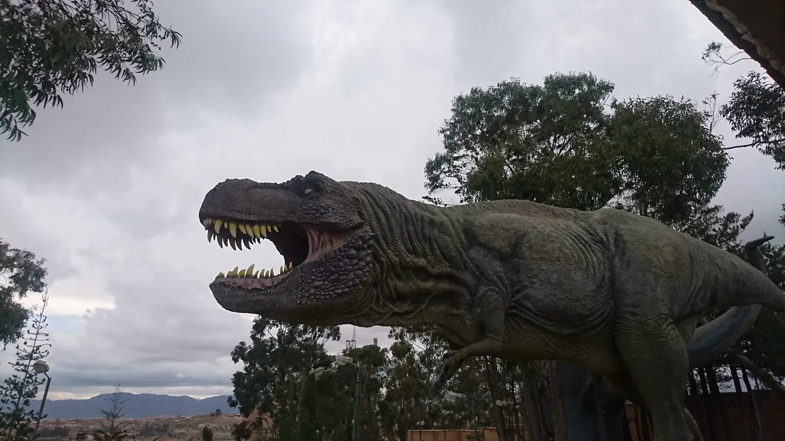 Cal Orck'o, Bolivia: The Vertical Dinosaur Wall That Defies Belief (By Caleidoscopic, CC BY-SA 4.0)