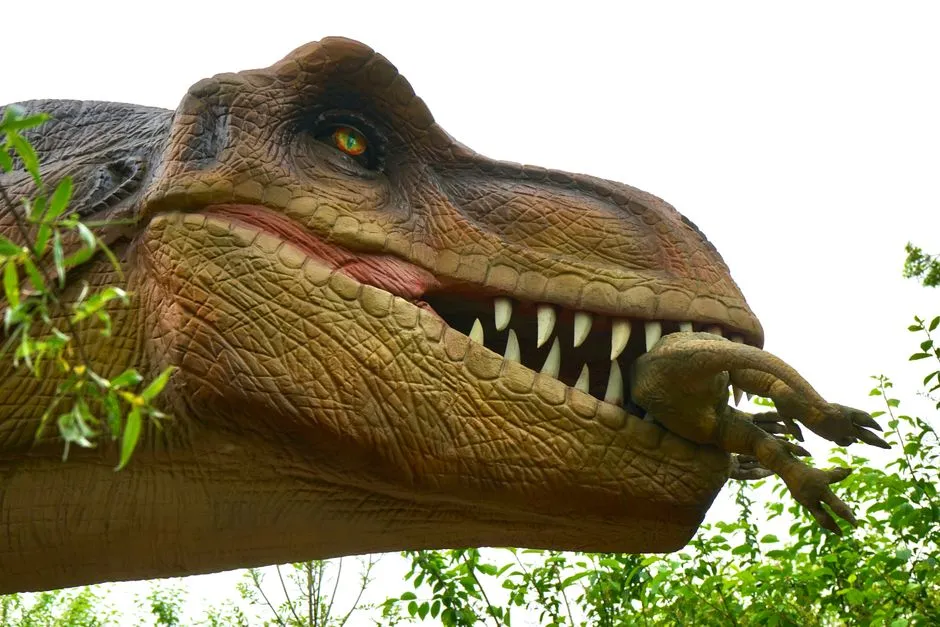 #3 - Its Bite Force Was Stronger Than Any Other Known Land Animal, Living or Extinct (Image Credits: Pexels)
