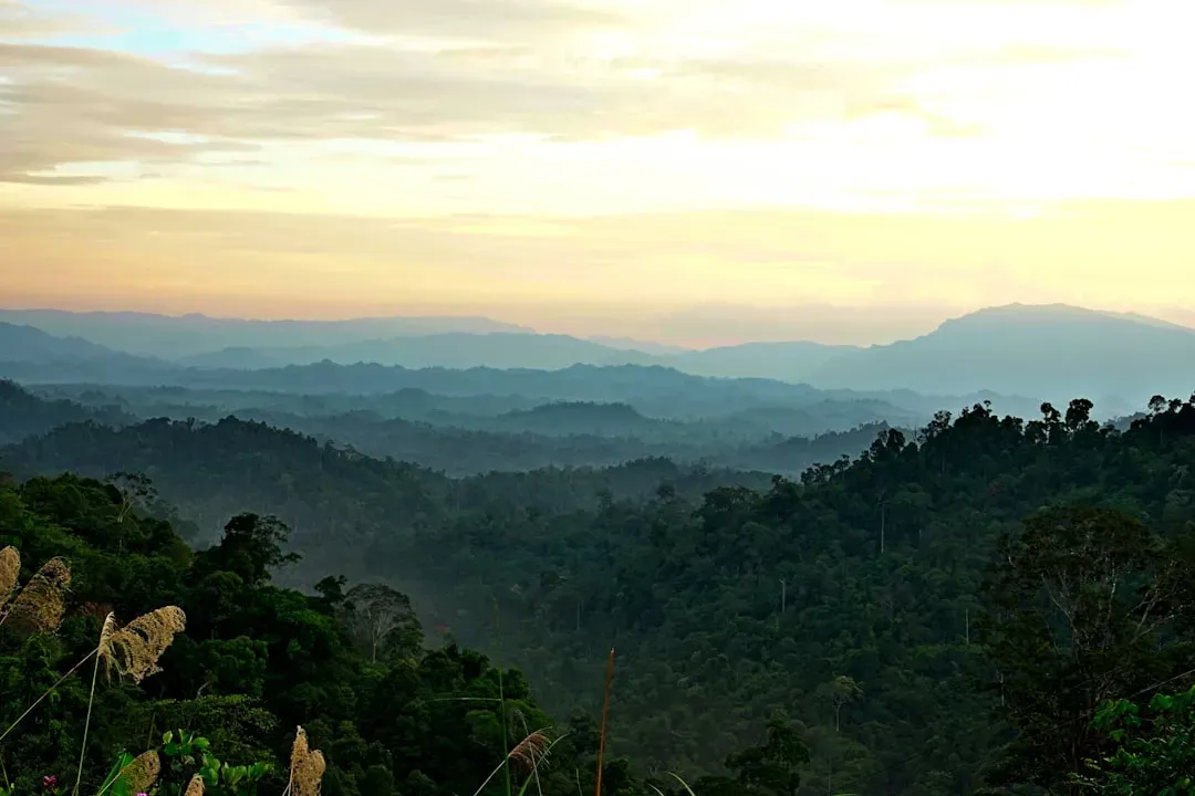 Why Some Regions Remain Virtually Untouched (Image Credits: Unsplash)