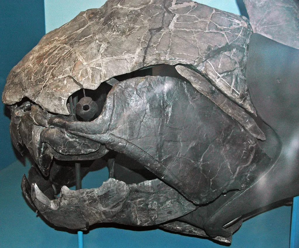 Dunkleosteus: The Armored Nightmare of the Devonian Seas (James St. John, Flickr, CC BY 2.0)