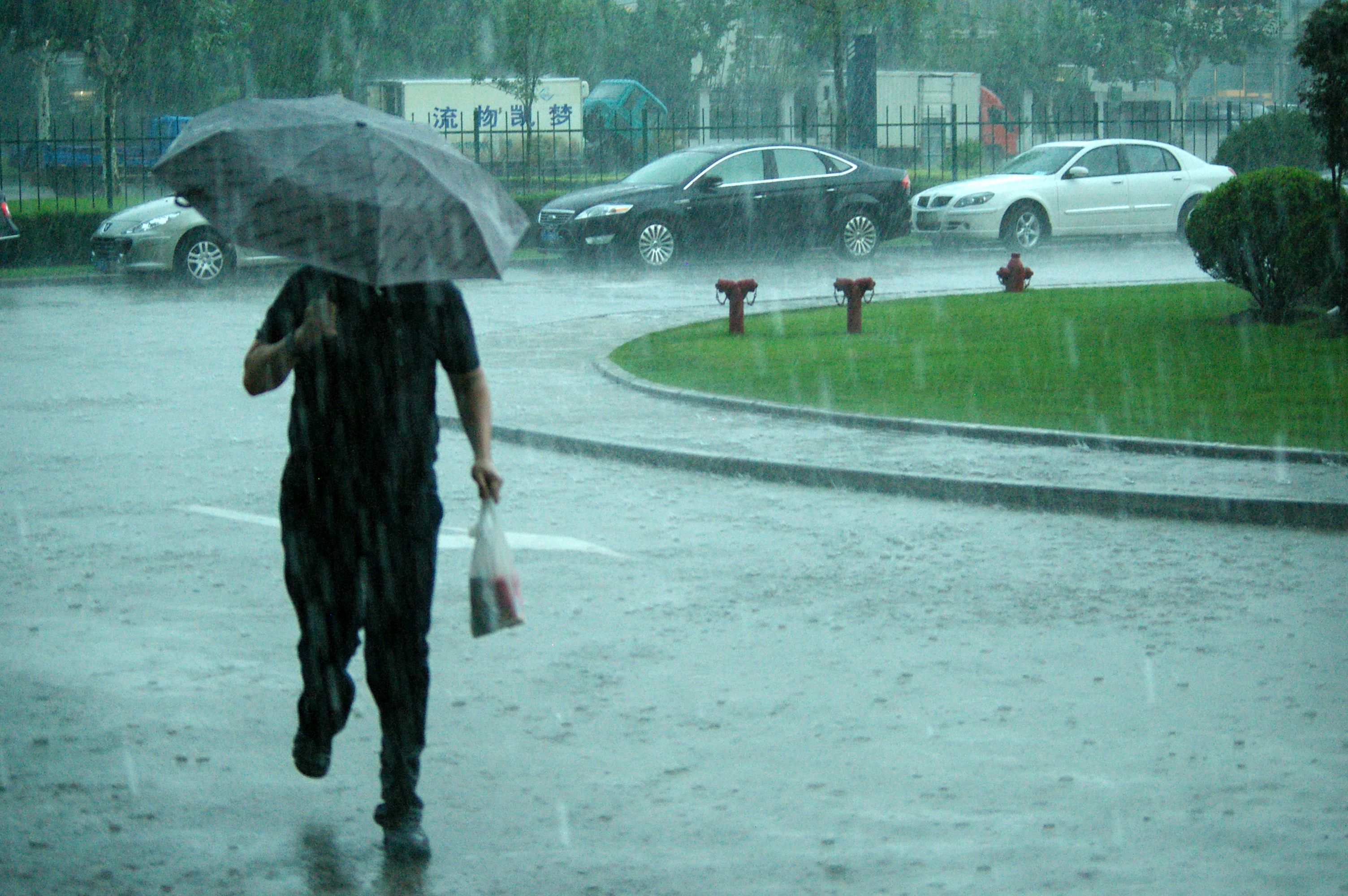 Pisces: The All-Encompassing Monsoon (Image Credits: Wikimedia)