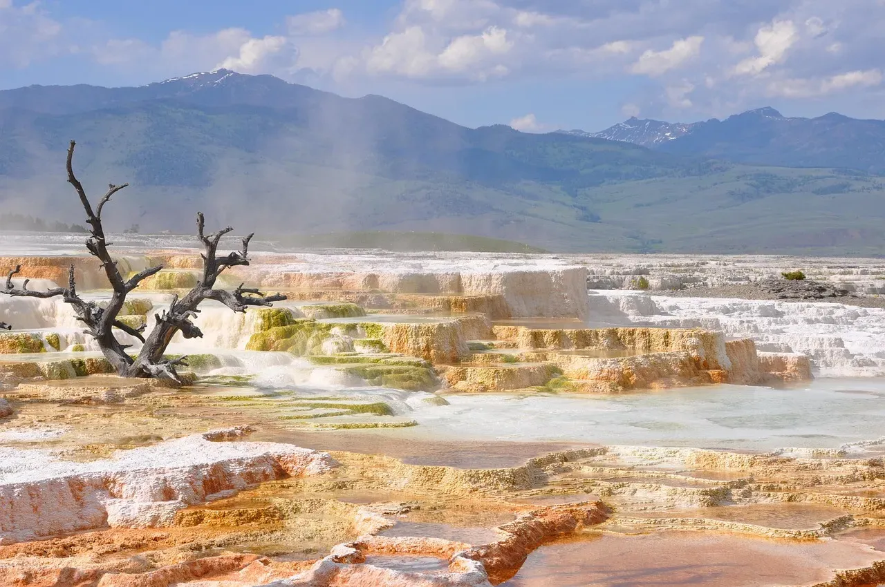 The End-Triassic Extinction: Disaster Becomes Opportunity (Image Credits: Pixabay)