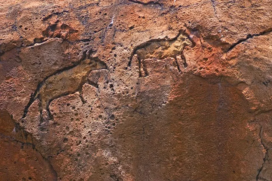 What the paintings actually show: pigs, hunters, and early storytelling (Image Credits: Pexels)